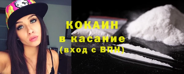 PSILOCYBIN Семёнов
